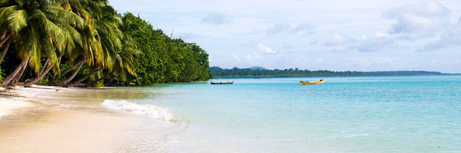 Havelock Island